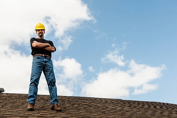 Best Roof Gutter Cleaning  in Shelton, WA
