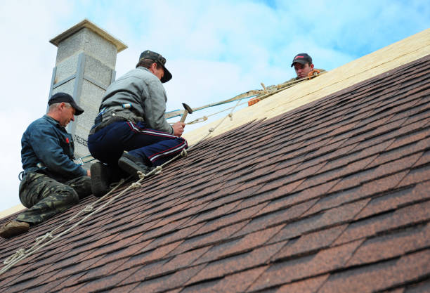 Best Roof Waterproofing Services  in Shelton, WA
